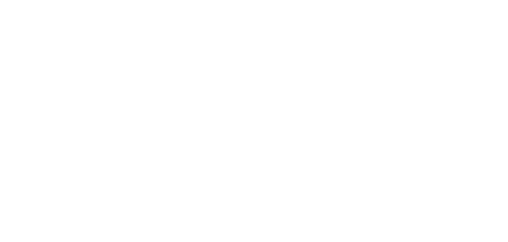 Logo - The Denver Seamstress White
